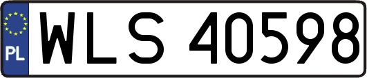 WLS40598
