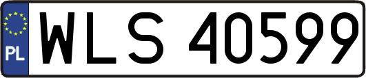 WLS40599