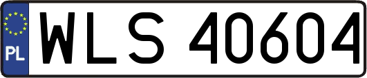 WLS40604