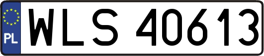 WLS40613