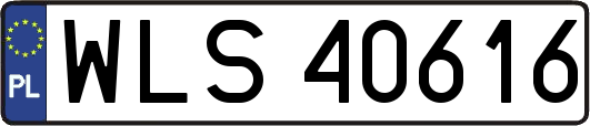 WLS40616