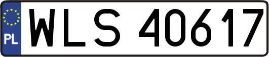 WLS40617