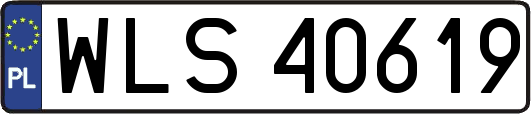WLS40619
