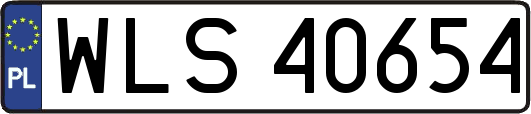WLS40654