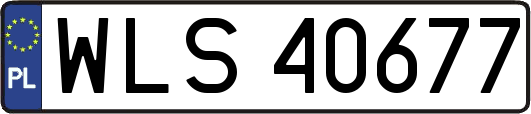 WLS40677