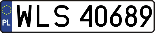 WLS40689