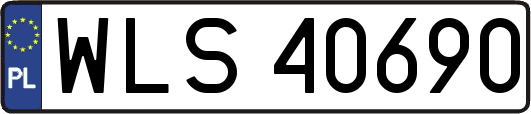 WLS40690