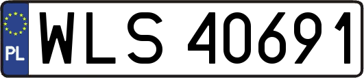 WLS40691