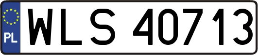 WLS40713