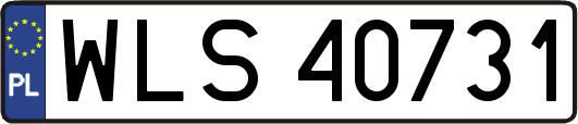 WLS40731