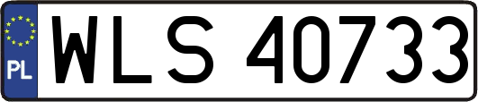 WLS40733