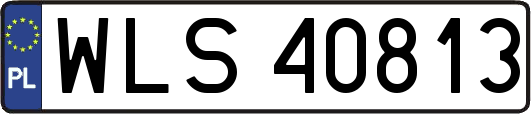 WLS40813