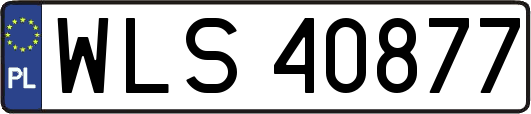 WLS40877