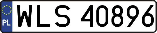WLS40896