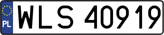 WLS40919