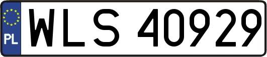 WLS40929