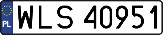 WLS40951