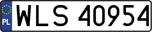 WLS40954