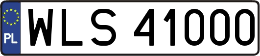 WLS41000