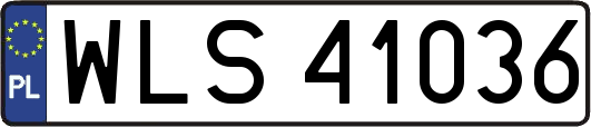 WLS41036