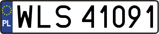 WLS41091