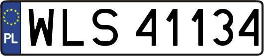 WLS41134