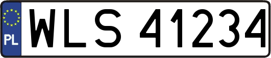 WLS41234
