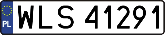 WLS41291