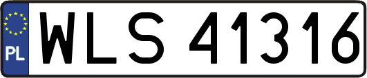 WLS41316