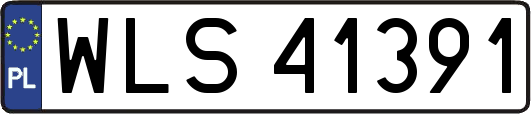 WLS41391
