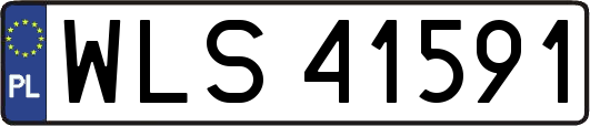 WLS41591