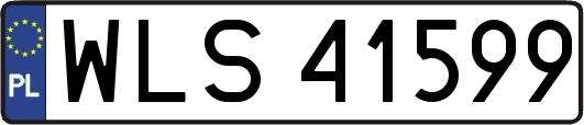 WLS41599