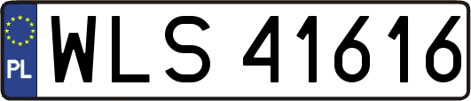 WLS41616