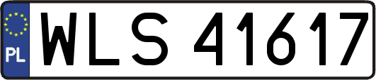 WLS41617