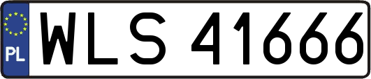 WLS41666