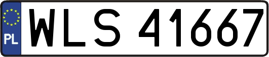 WLS41667