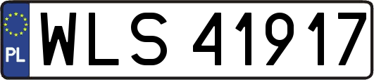 WLS41917