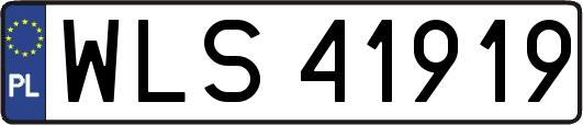 WLS41919