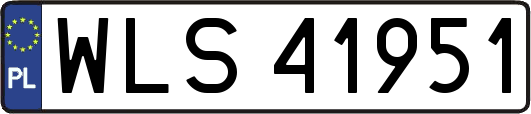 WLS41951