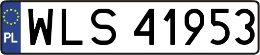 WLS41953