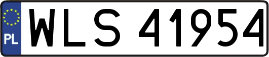 WLS41954