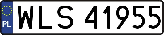 WLS41955