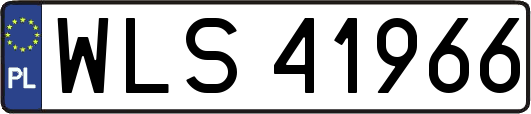 WLS41966