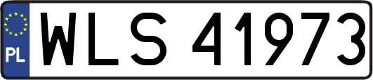 WLS41973
