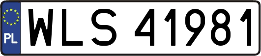 WLS41981