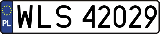WLS42029
