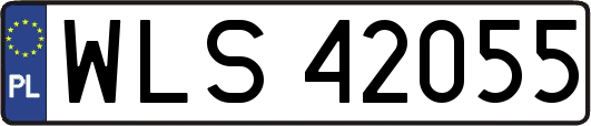 WLS42055