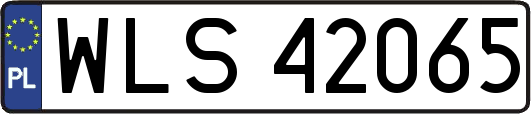WLS42065