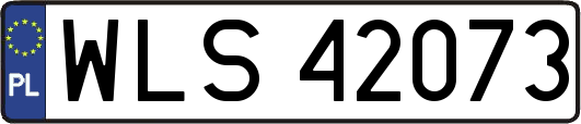 WLS42073