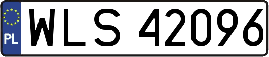 WLS42096